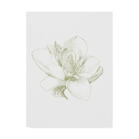 Sue Schlabach 'Le Jardin Printemps Pattern I Magnolia' Canvas Art,24x32